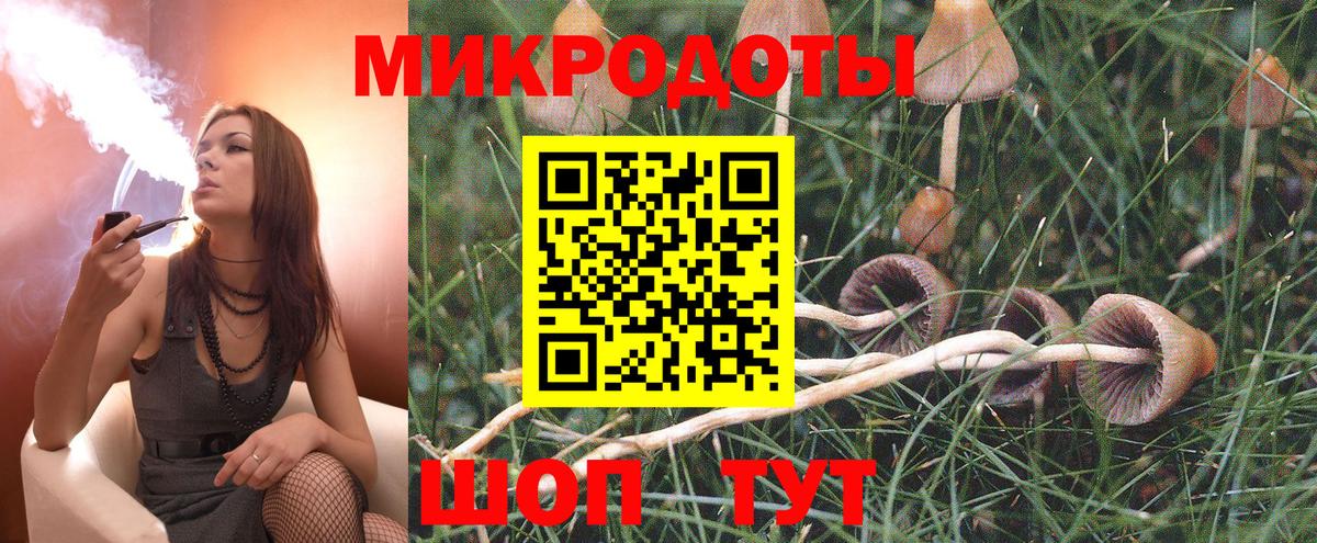 Галлюциногенные грибы мухоморы Зерноград