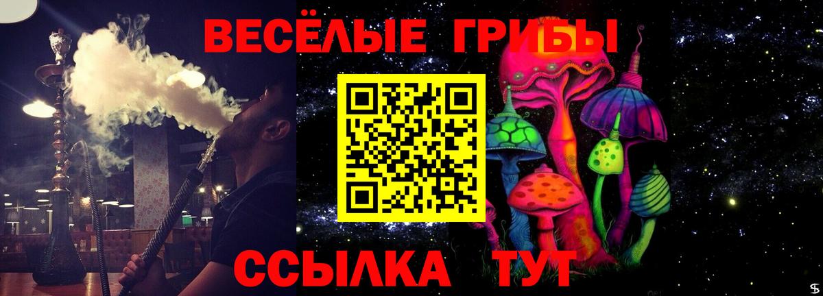 Галлюциногенные грибы мицелий  Вход с VPN  Зерноград 